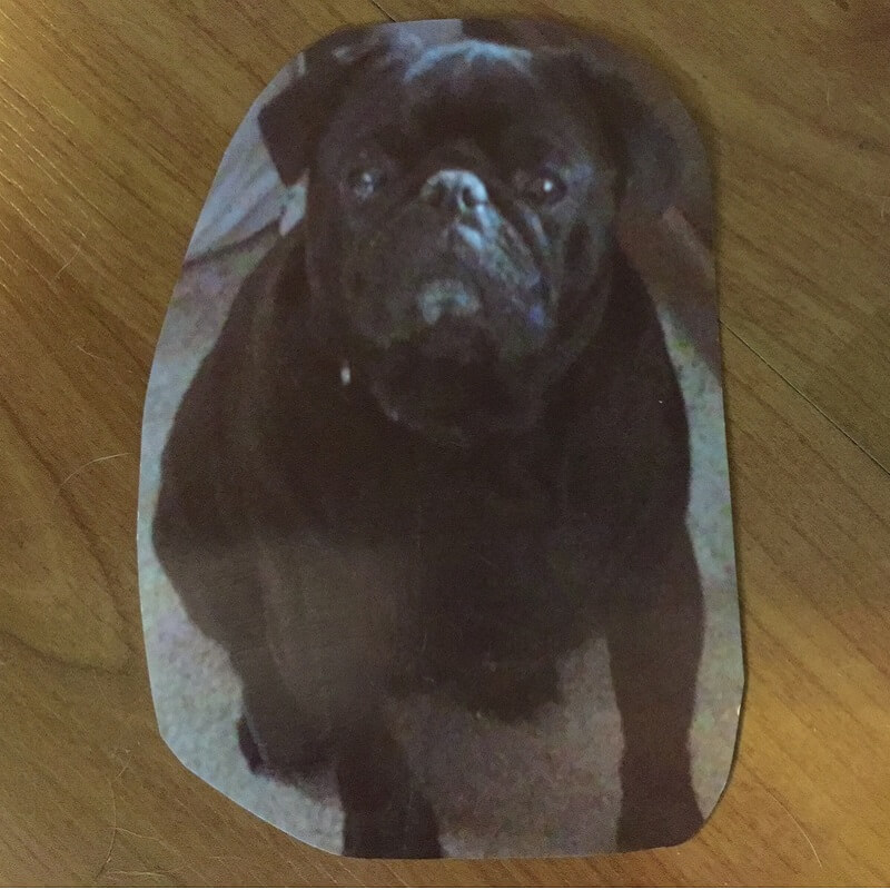 Grady Peaceful Paws Pet Memorials